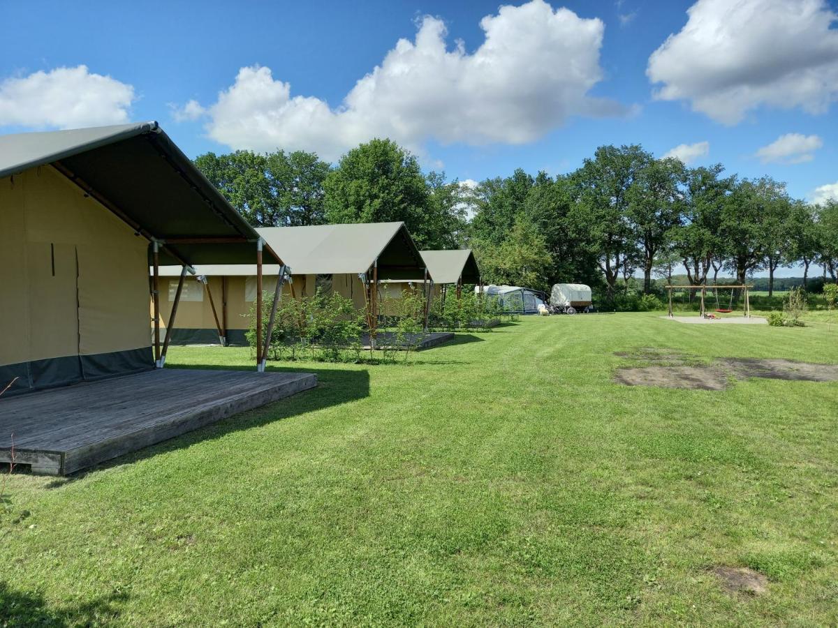 Comfort Safaritent 6 Pers En Mini Camping Zwiggelte Экстерьер фото